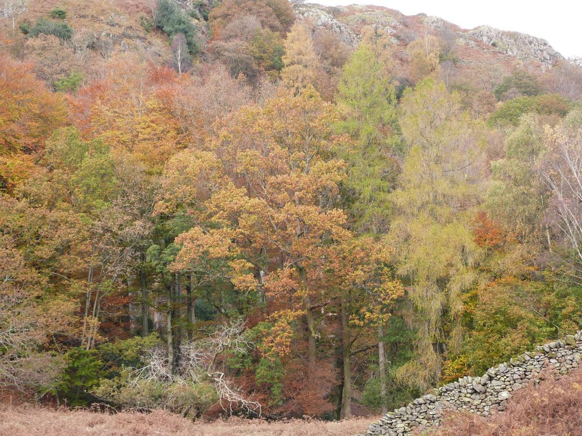Beech Vila Ulverston Exterior foto